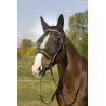 Máscara anti-moscas Equithème Training - Preto modelo antigo