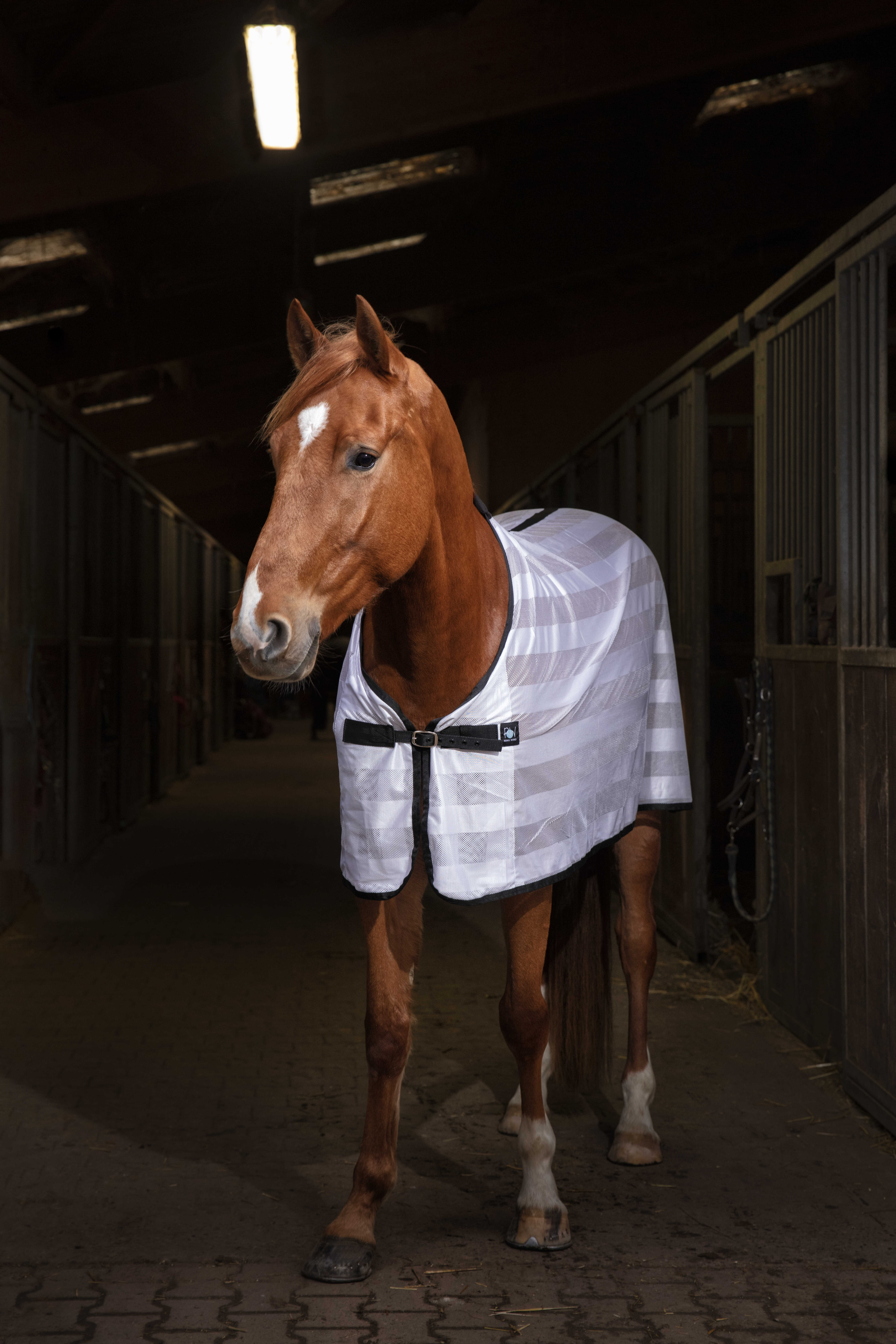 Camisa Riding World Mesh Branco Camisa Riding World Mesh Branco
