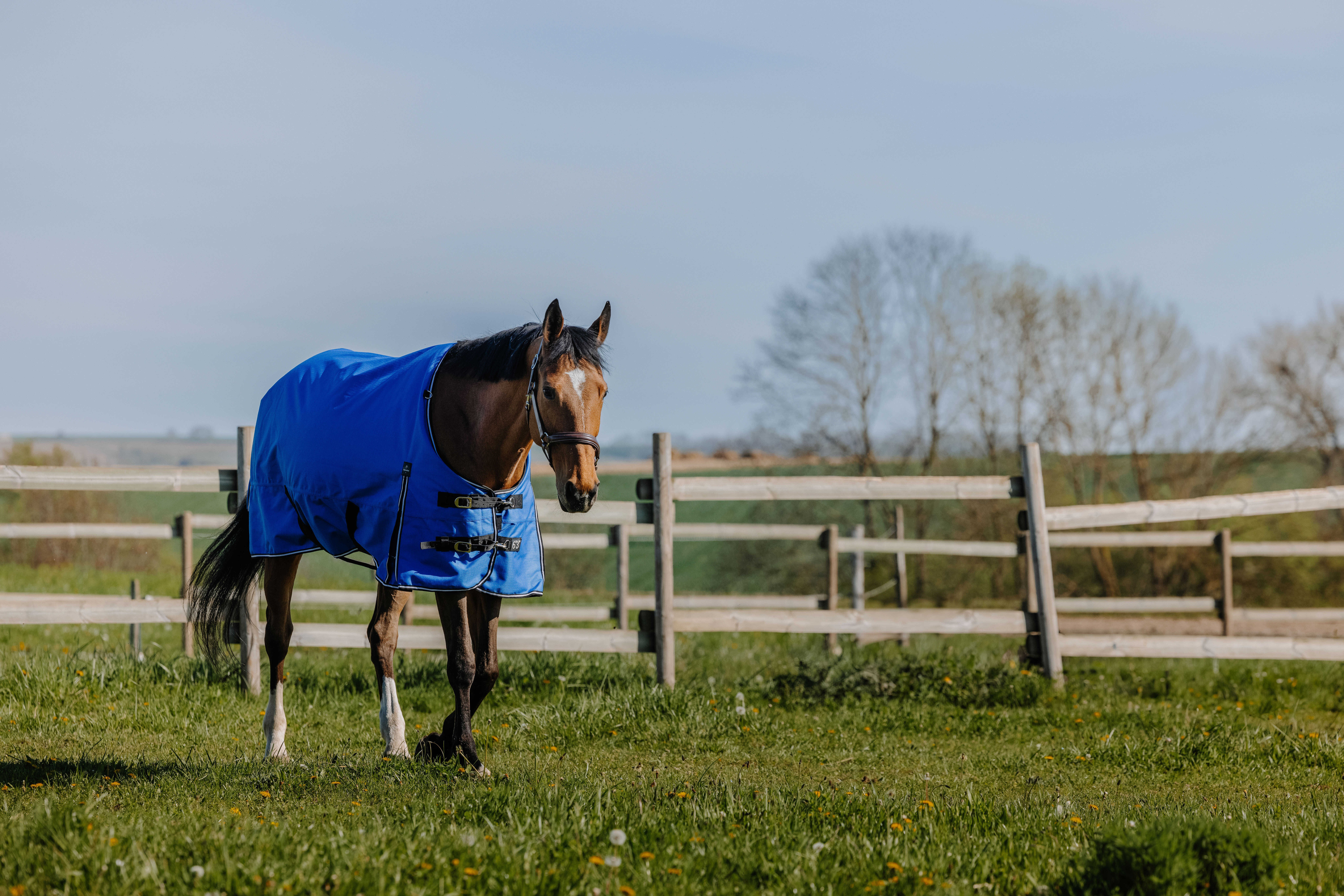 Cobertura Equithème Tyrex 1200D Aisance Azul / preto