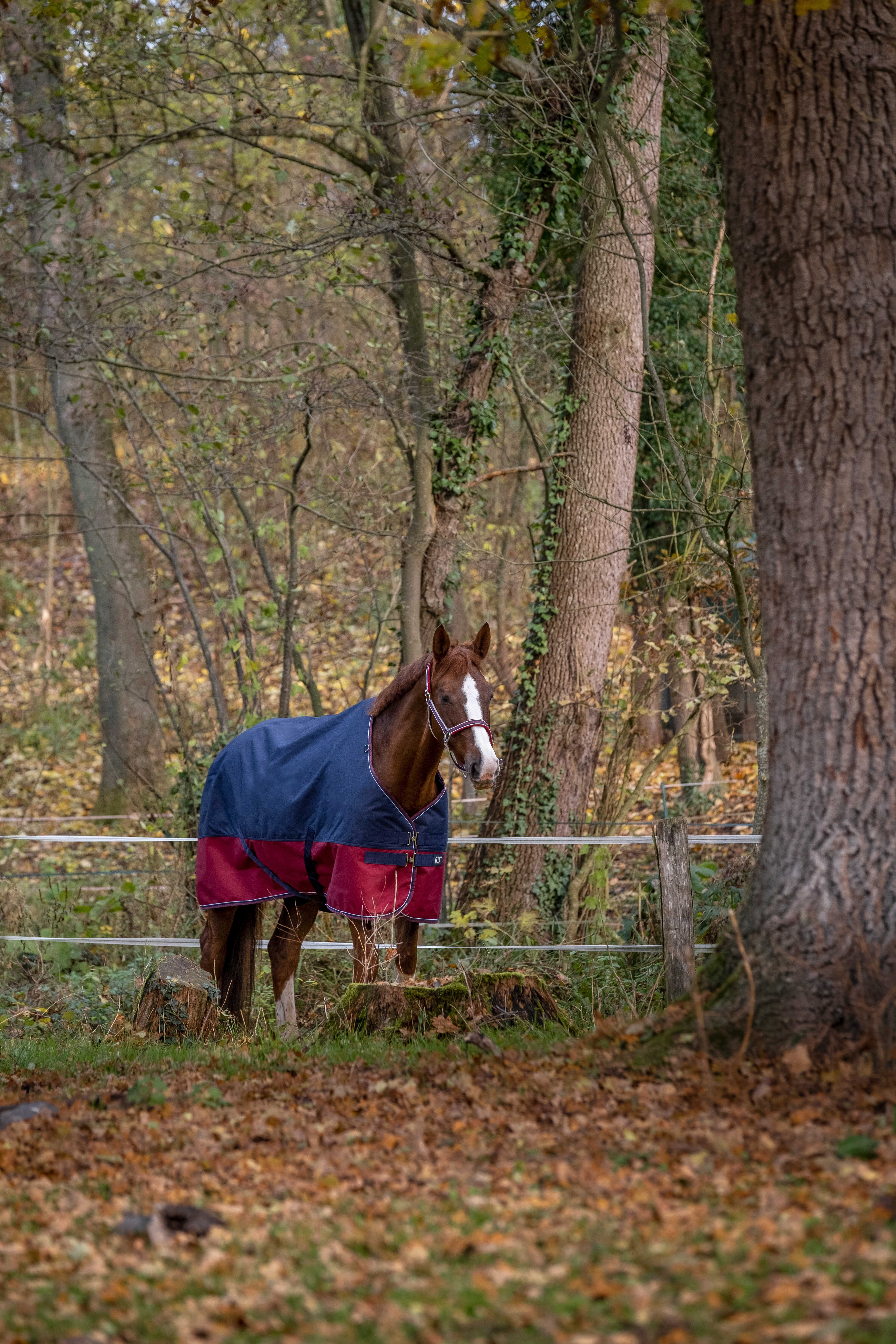 Cobertura Equithème Tyrex 1200 D Cobertura Equithème Tyrex 1200 D