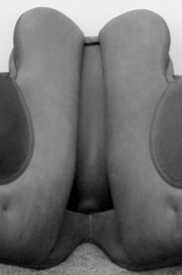 Sela de treino Wintec