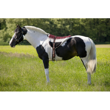 Tapete de montar a pelo Norton