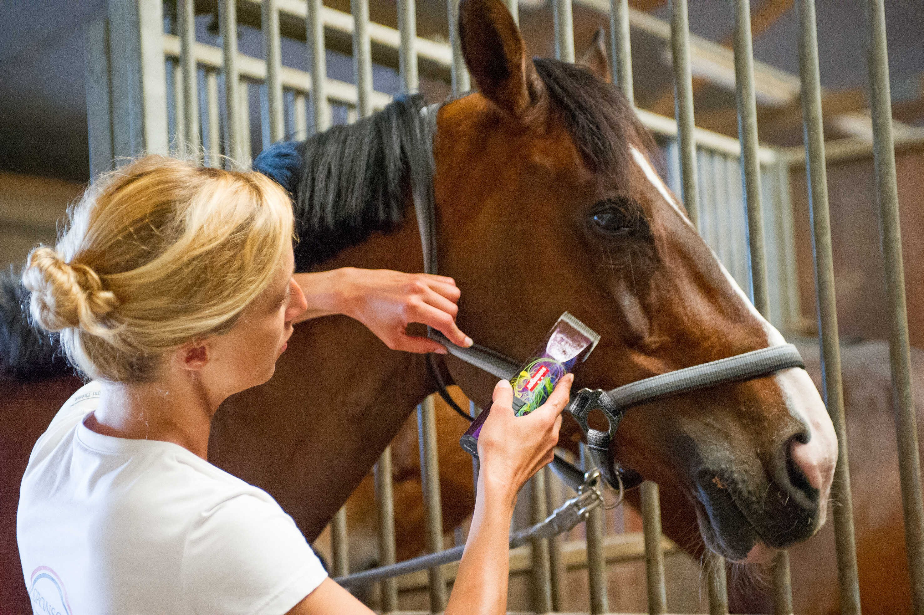 Máquina de Acabamento Heiniger Saphir Style Sem Fio Máquina de Acabamento Heiniger Saphir Style Sem Fio