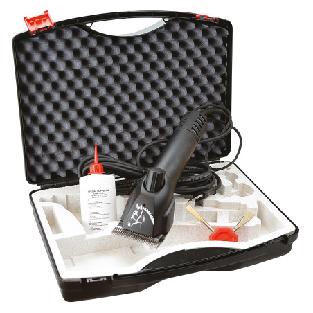 TOSQUIADEIRA NORTON PROGRESS