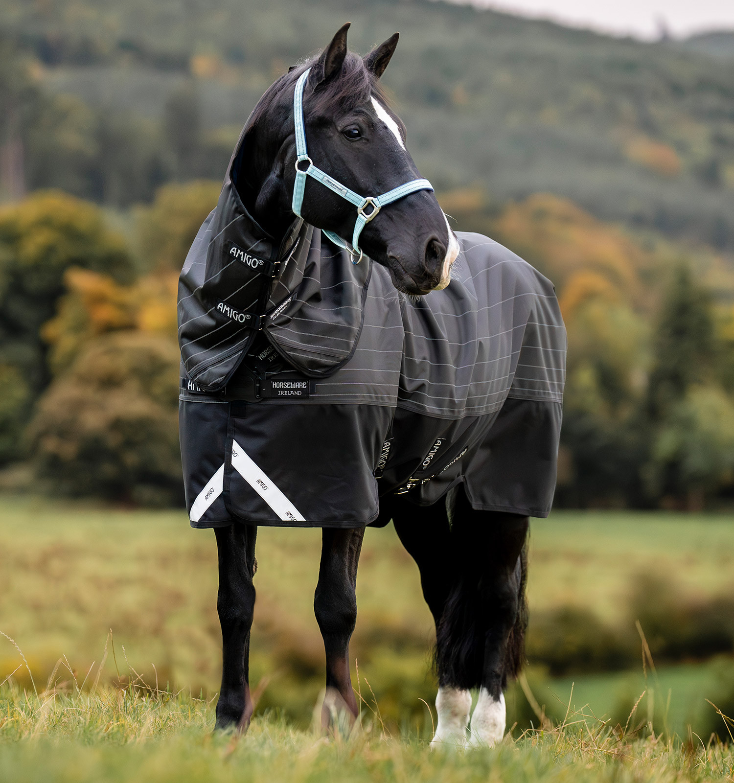 Cobertura Horseware Amigo 1200D FieldSafe Reflectech Plus Turnout 50g Preto / preto refletor Cobertura Horseware Amigo 1200D FieldSafe Reflectech Plus Turnout 50g Preto / preto refletor