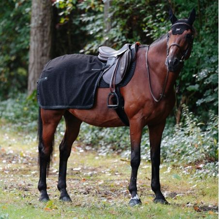 Capa de rins GEM Tao