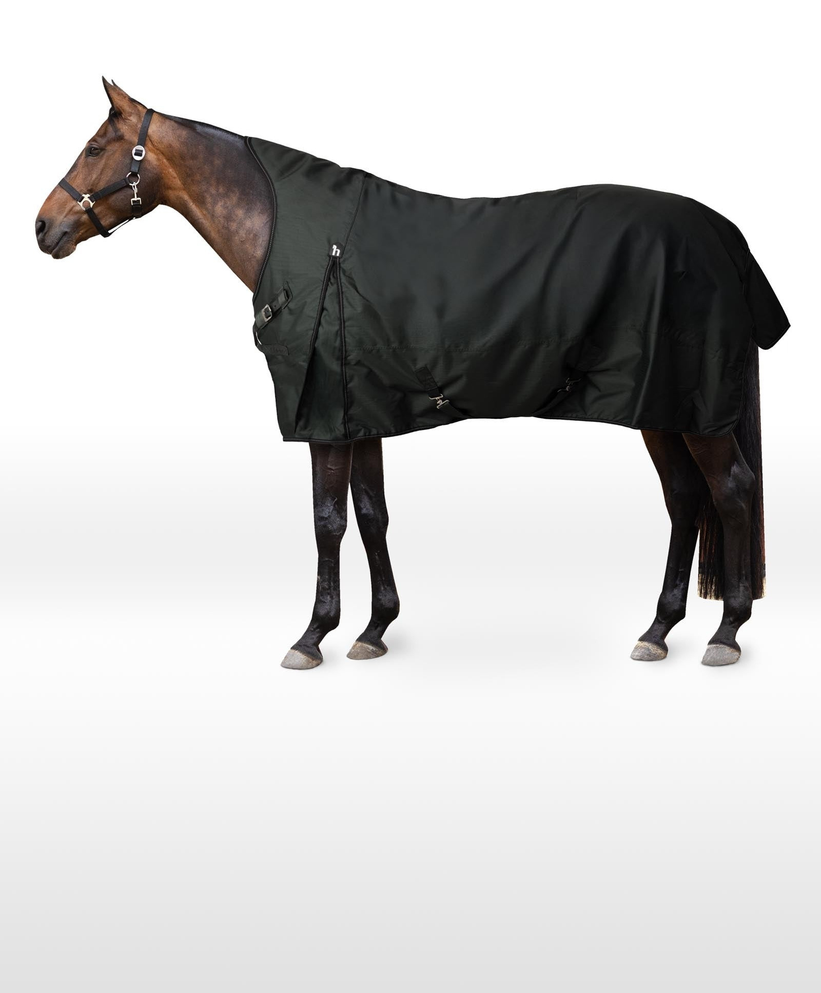 Cobertura de exterior Horze Helsinki pescoço alto 100 g Verde escaravelho