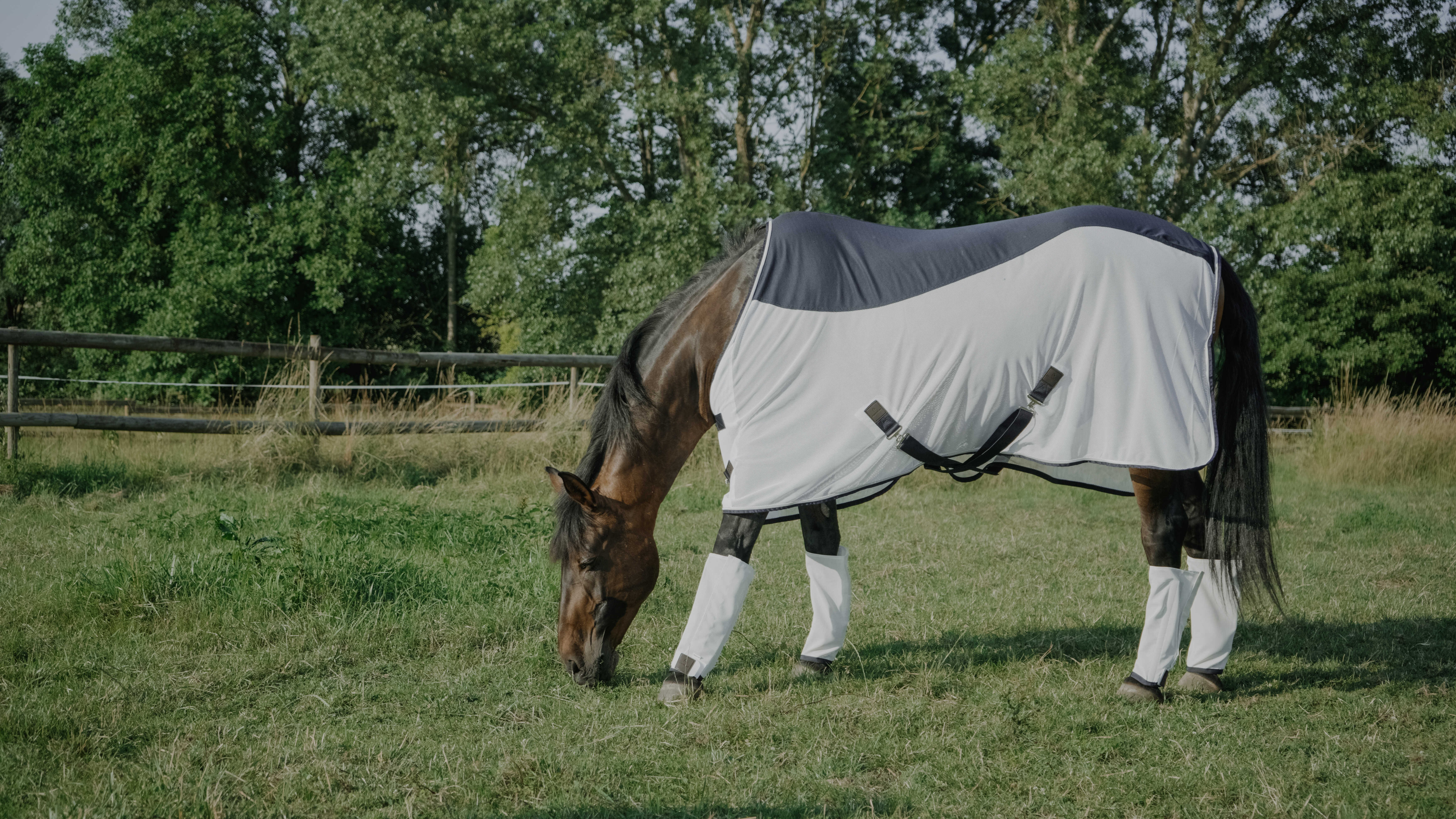 Manta Equithème Flycool Marinho / branco Azul