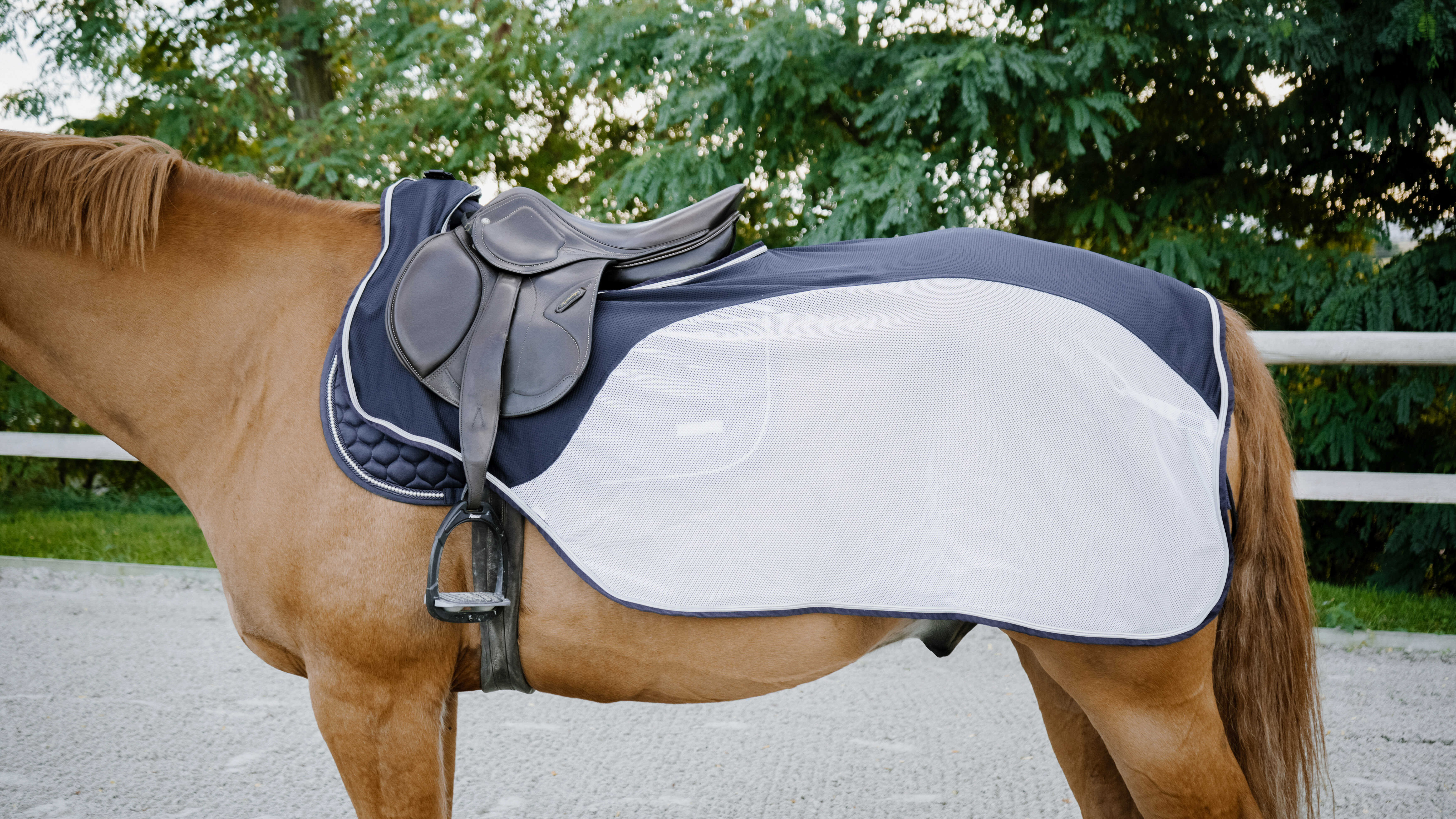 Cobre-rins Equithème Flycool Marinho / branco Azul