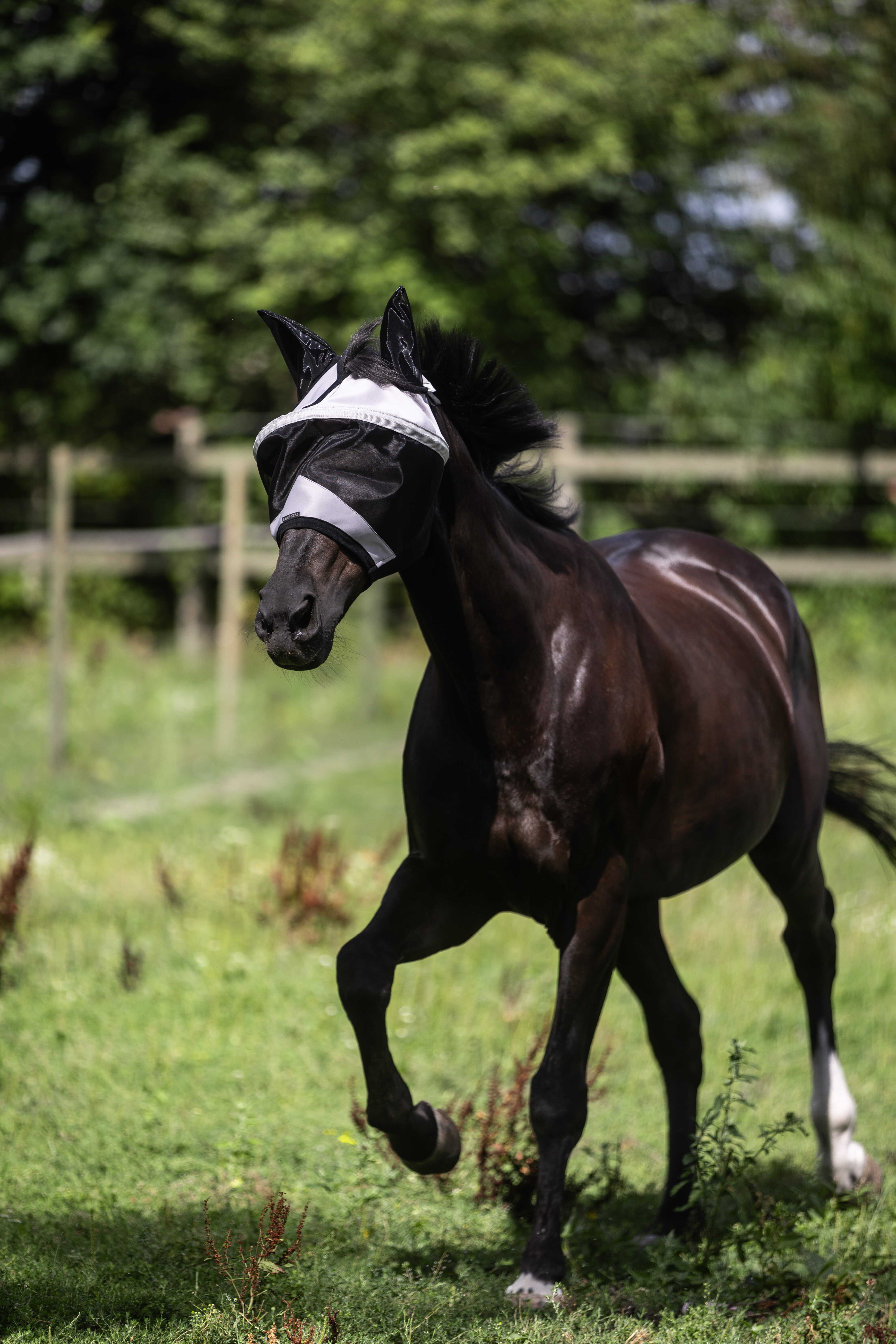 Máscara Lami-Cell Easyfit Cinzento