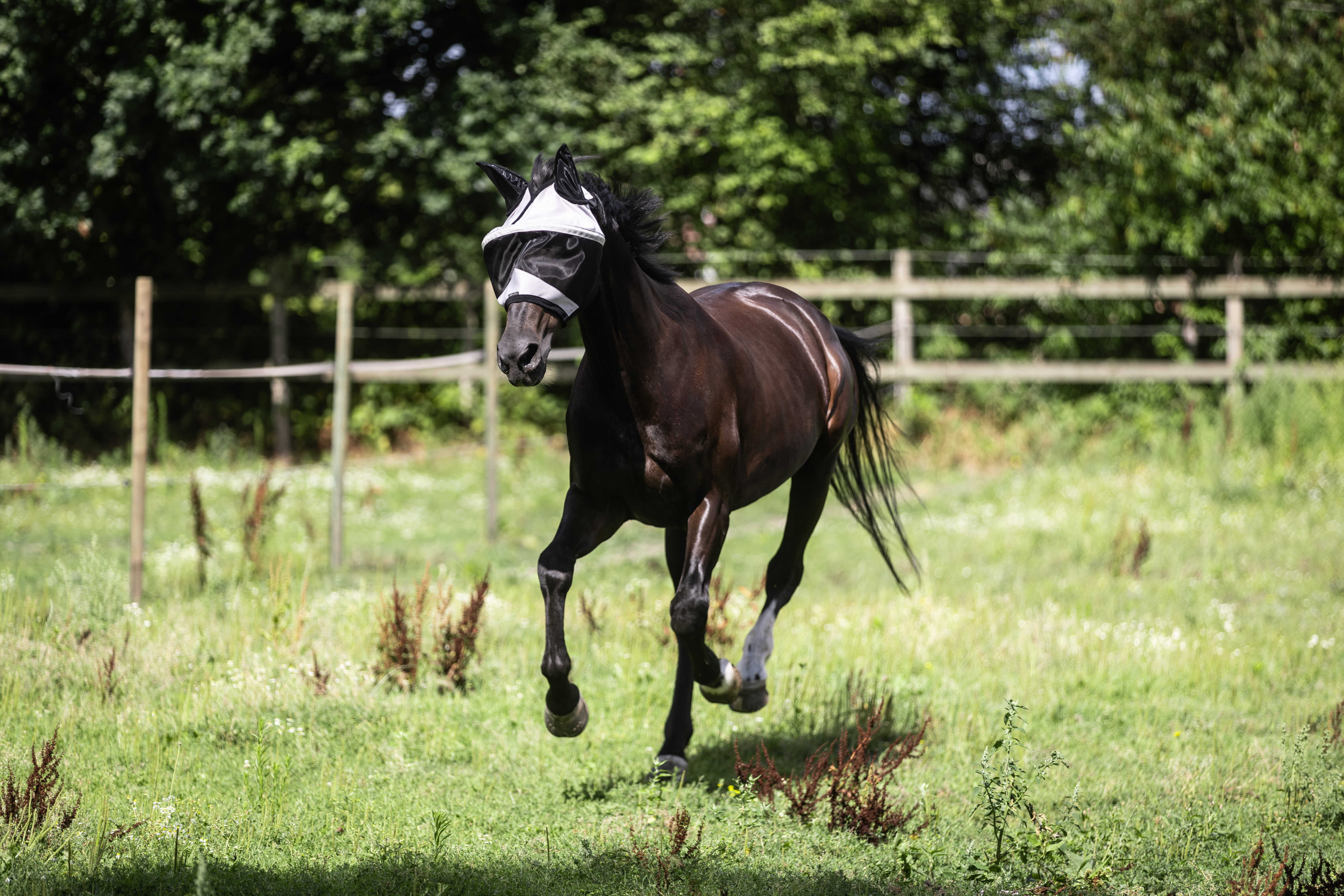 Máscara Lami-Cell Easyfit Cinzento