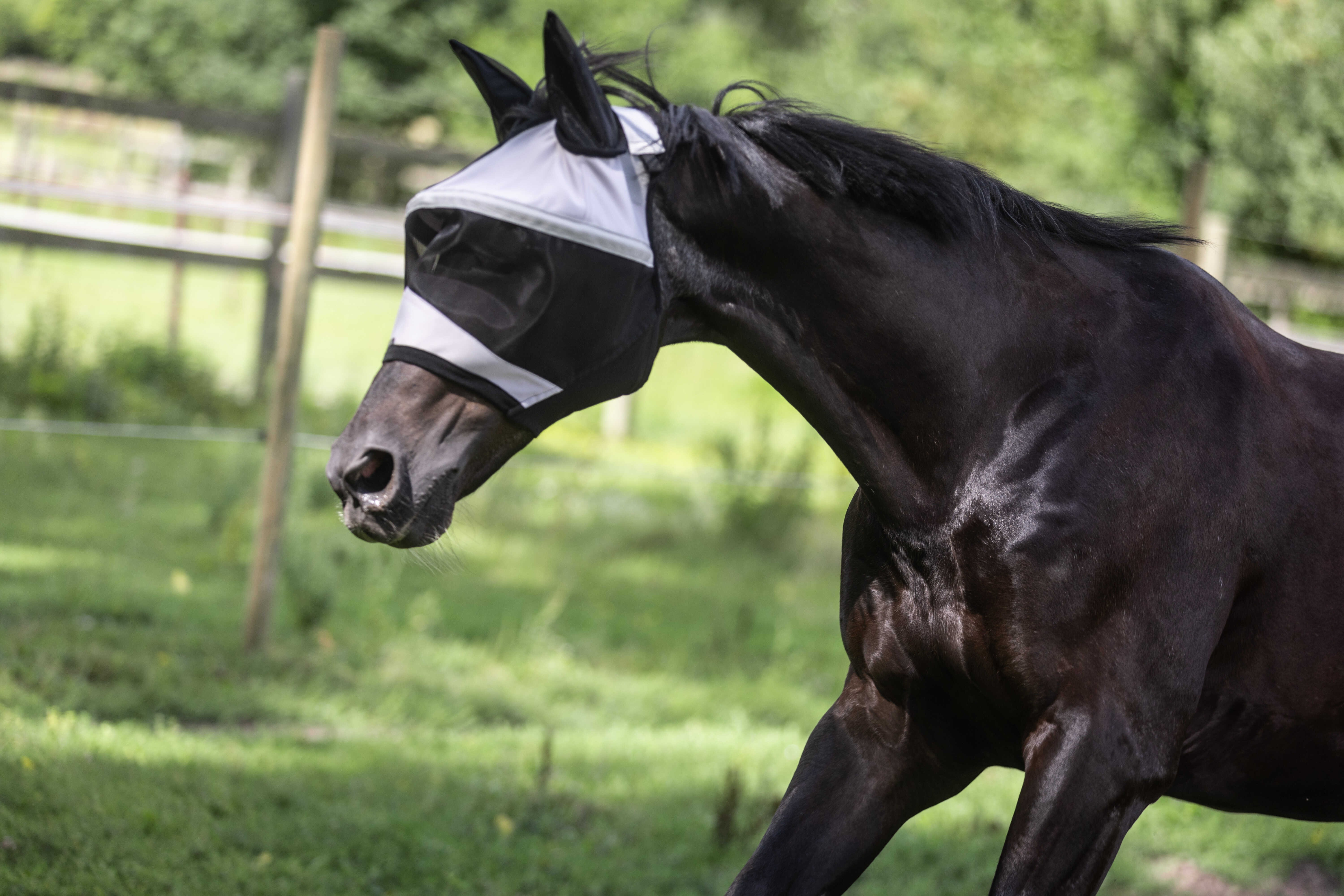 Máscara Lami-Cell Easyfit Cinzento