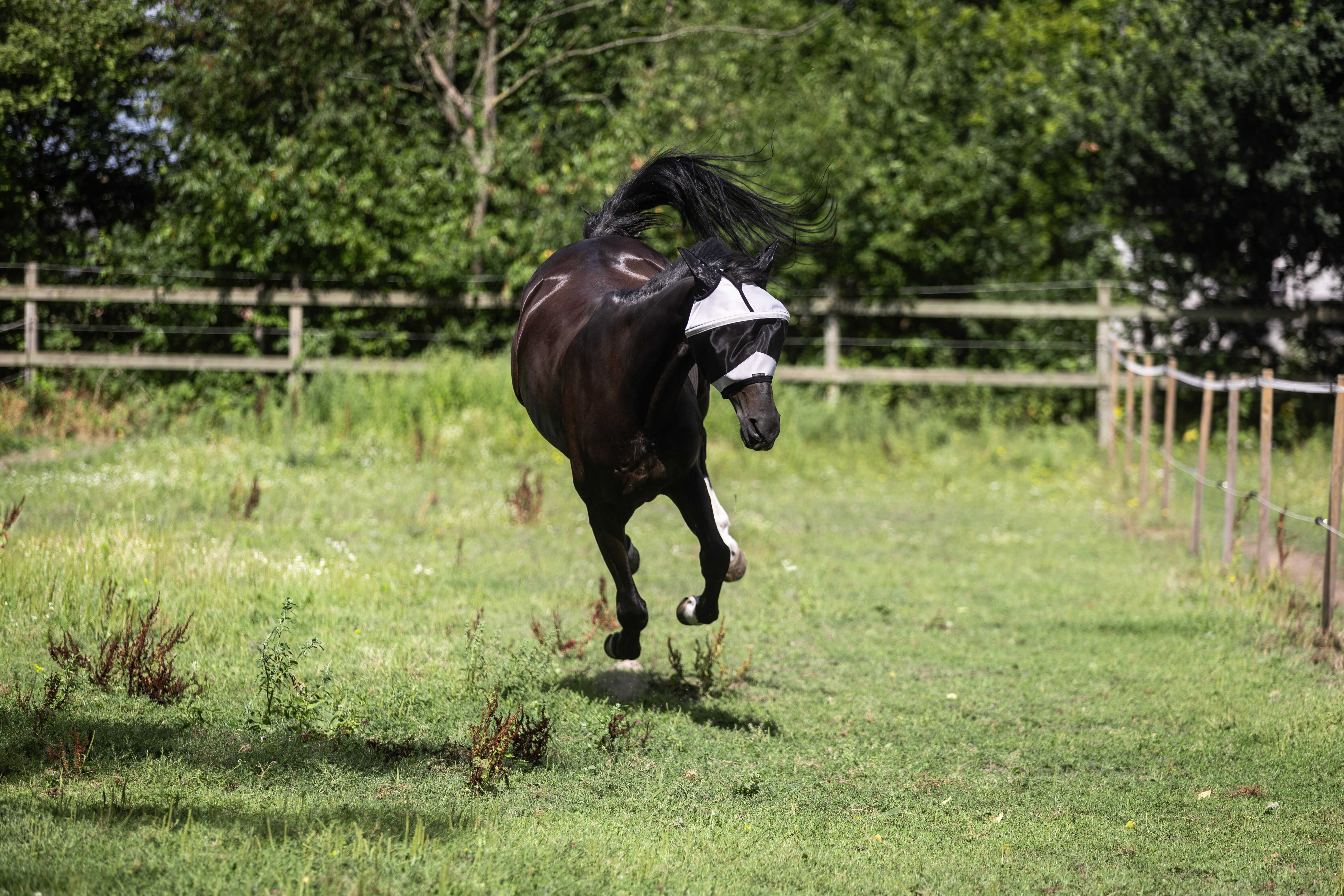 Máscara Lami-Cell Easyfit Cinzento