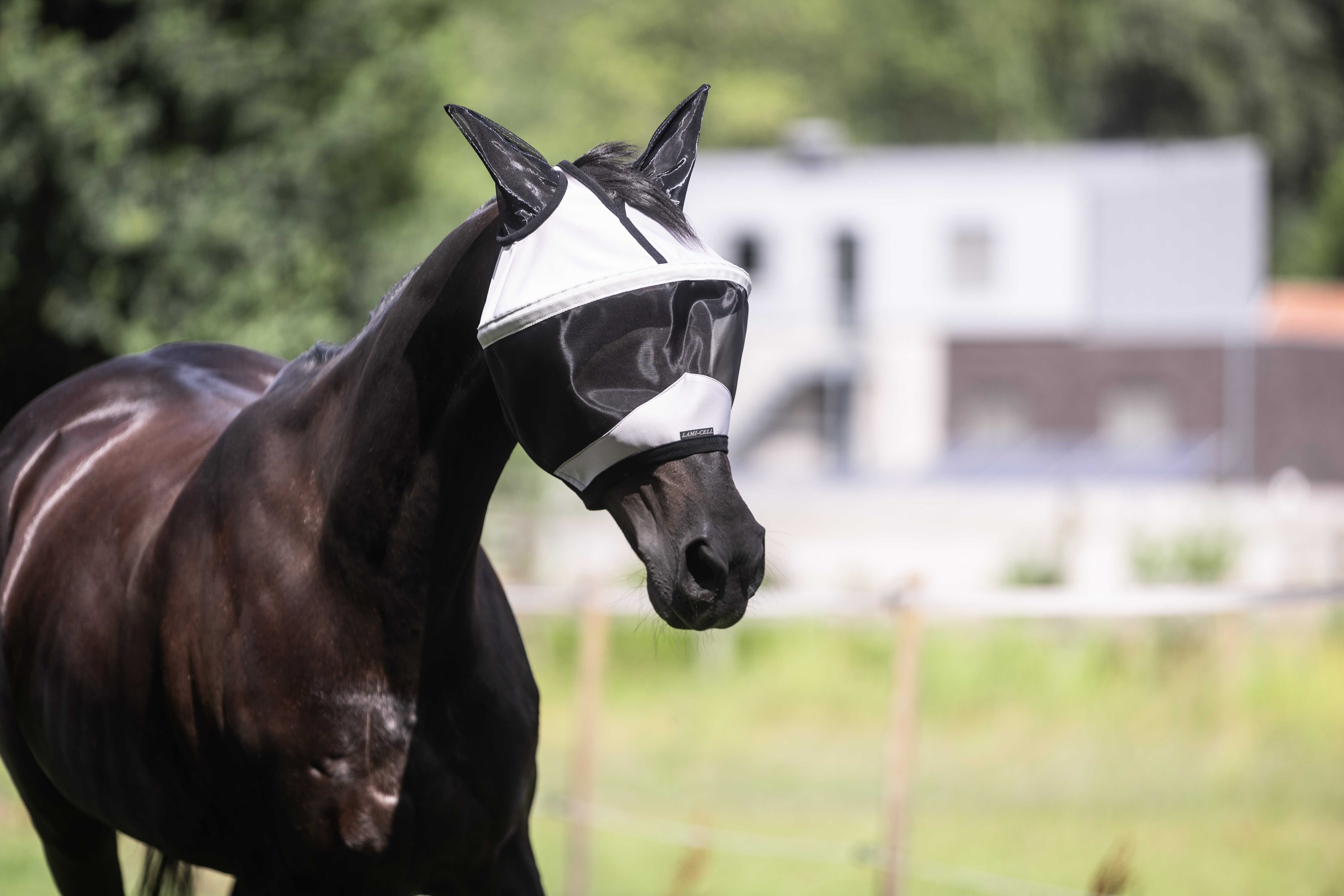 Máscara Lami-Cell Easyfit Cinzento