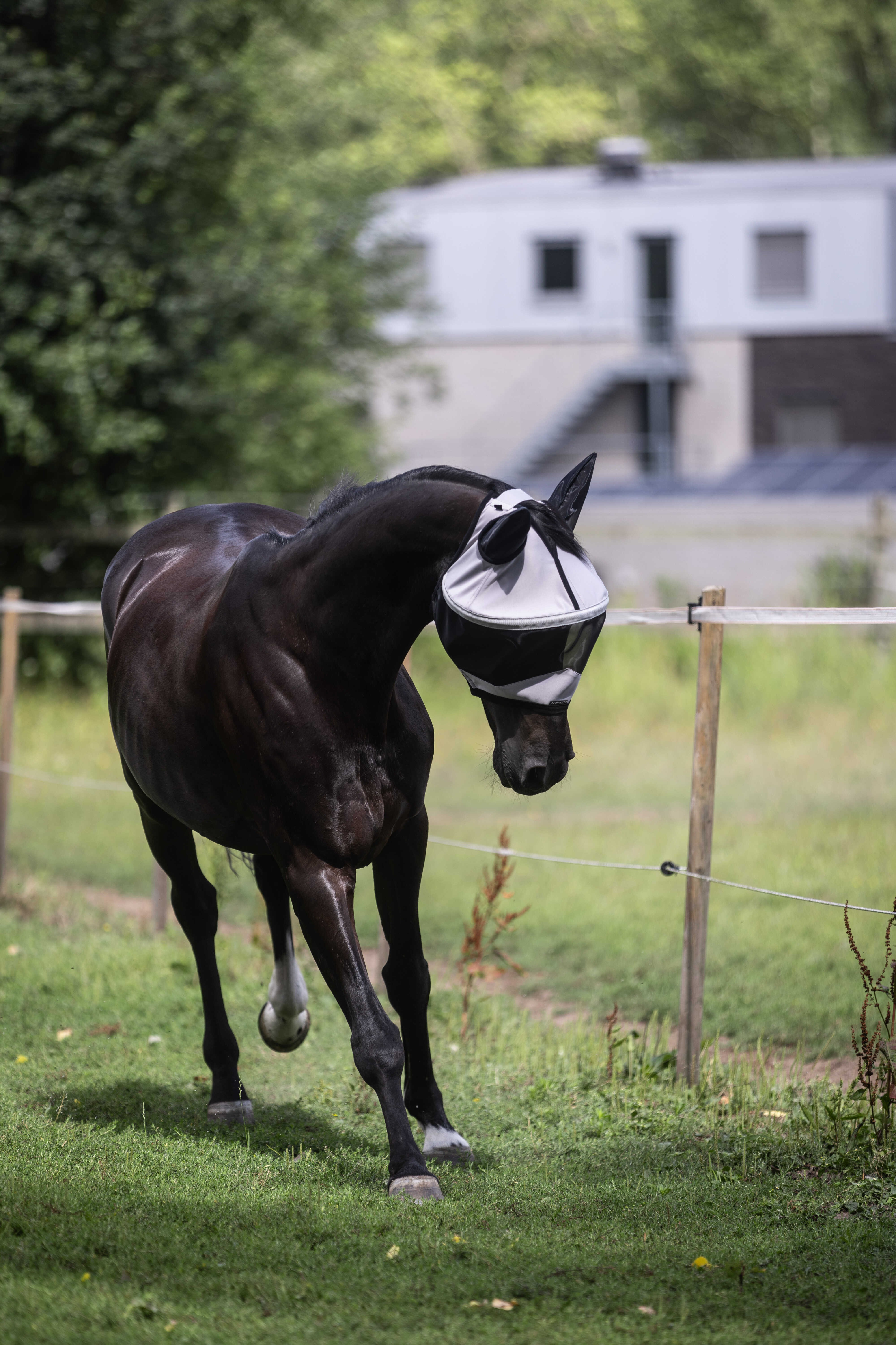 Máscara Lami-Cell Easyfit Cinzento