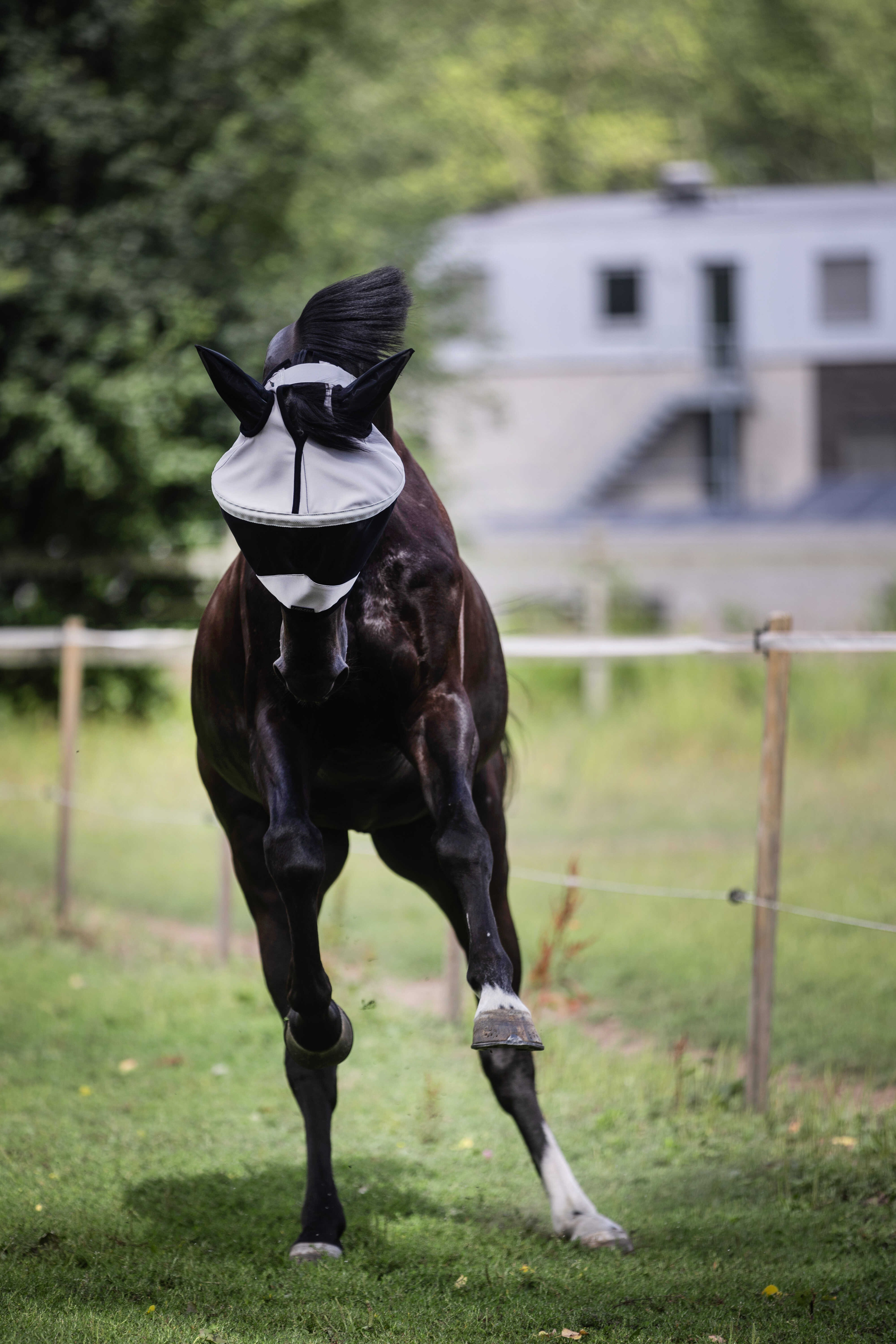 Máscara Lami-Cell Easyfit Cinzento