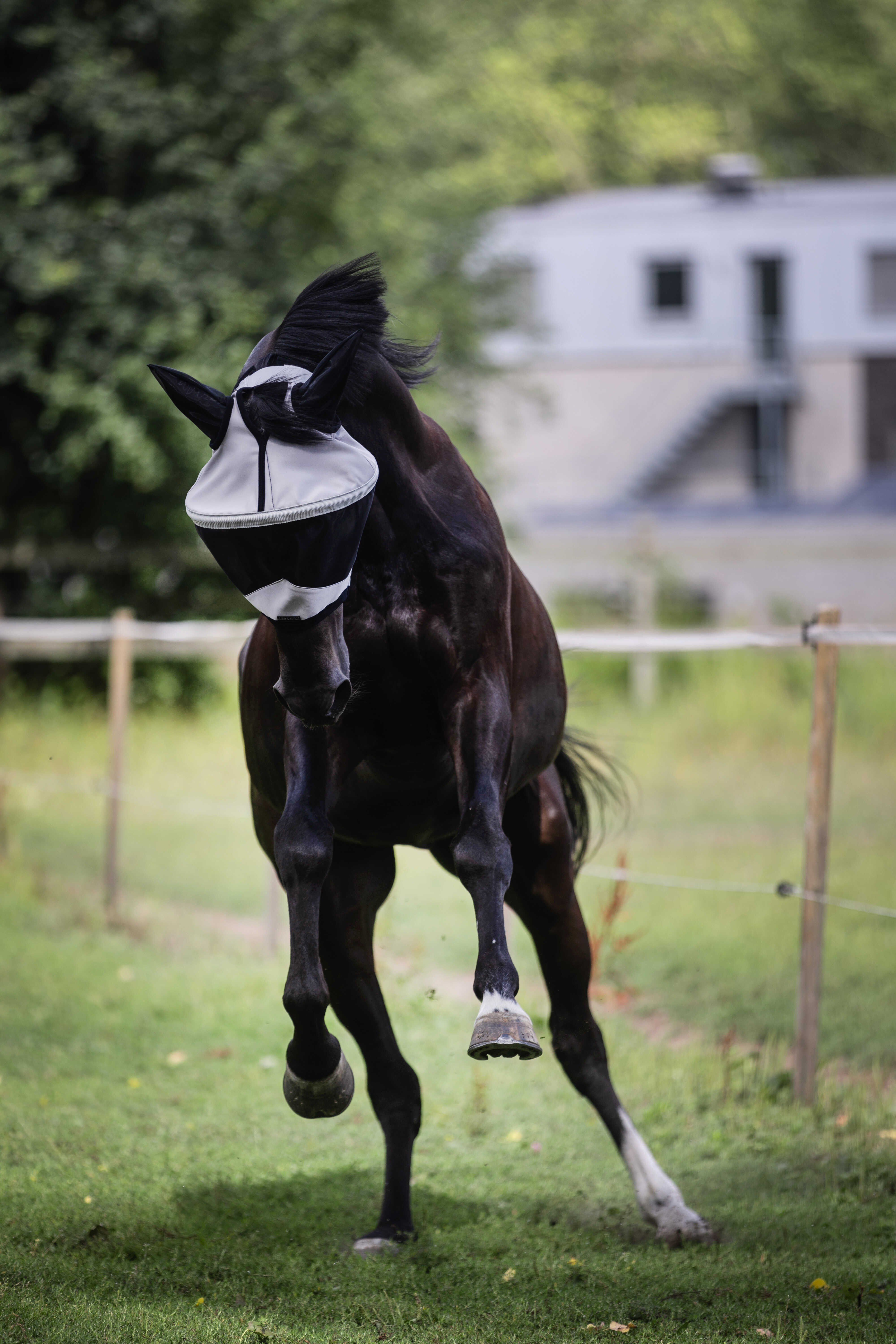 Máscara Lami-Cell Easyfit Cinzento