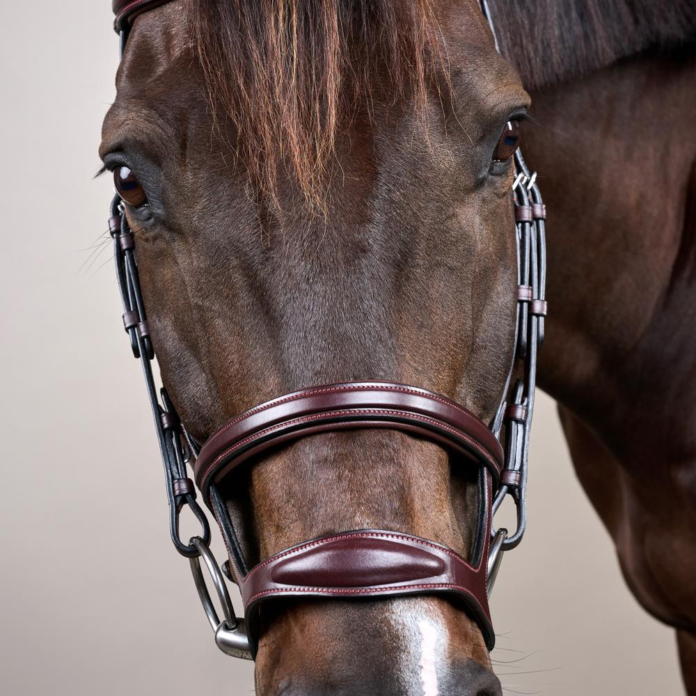 Bridão Duplo com Cavesseira New English Collection da Dy'on Preto