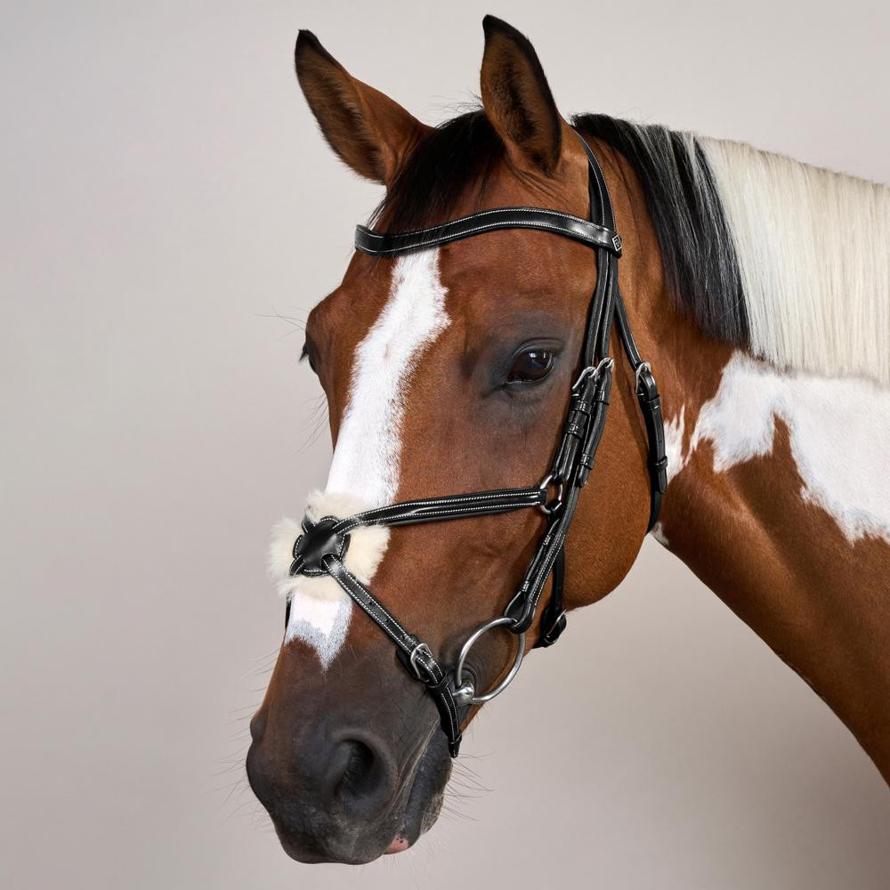 Bridão Crossover Muserola Working By Dy'on Preto