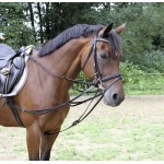 Rendas em forma de triângulo Covalliero