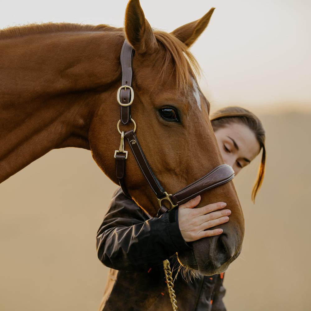 Cabresto de Couro D Collection by Dy'on Castanho