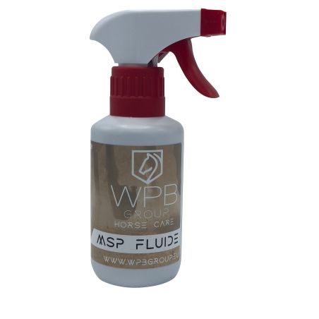 MSP Fluido WPB Group