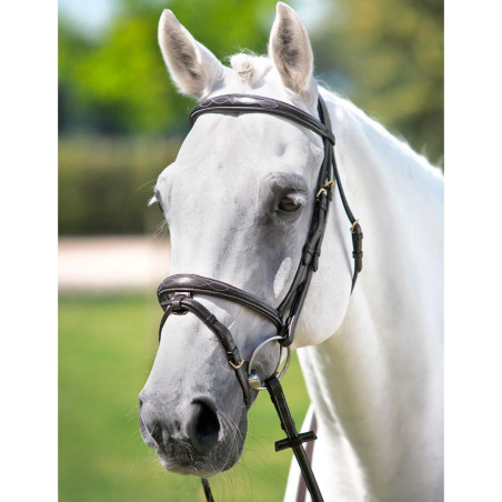 Cabeção com testeira Tattini e frontal bordado