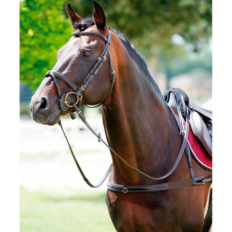 Peitoral Tattini elástico com colar removível