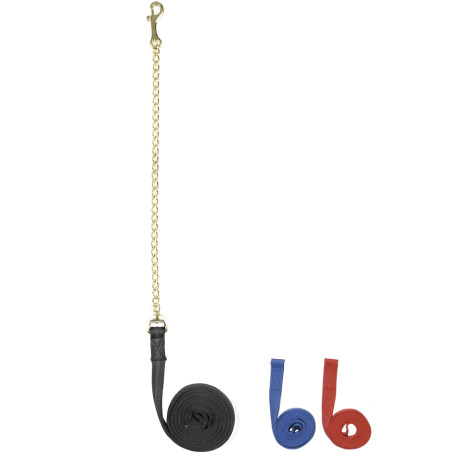 Longe Daslö com corrente