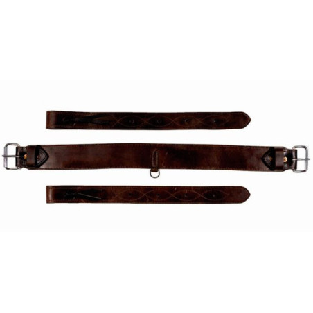 Cinta Notawa posterior