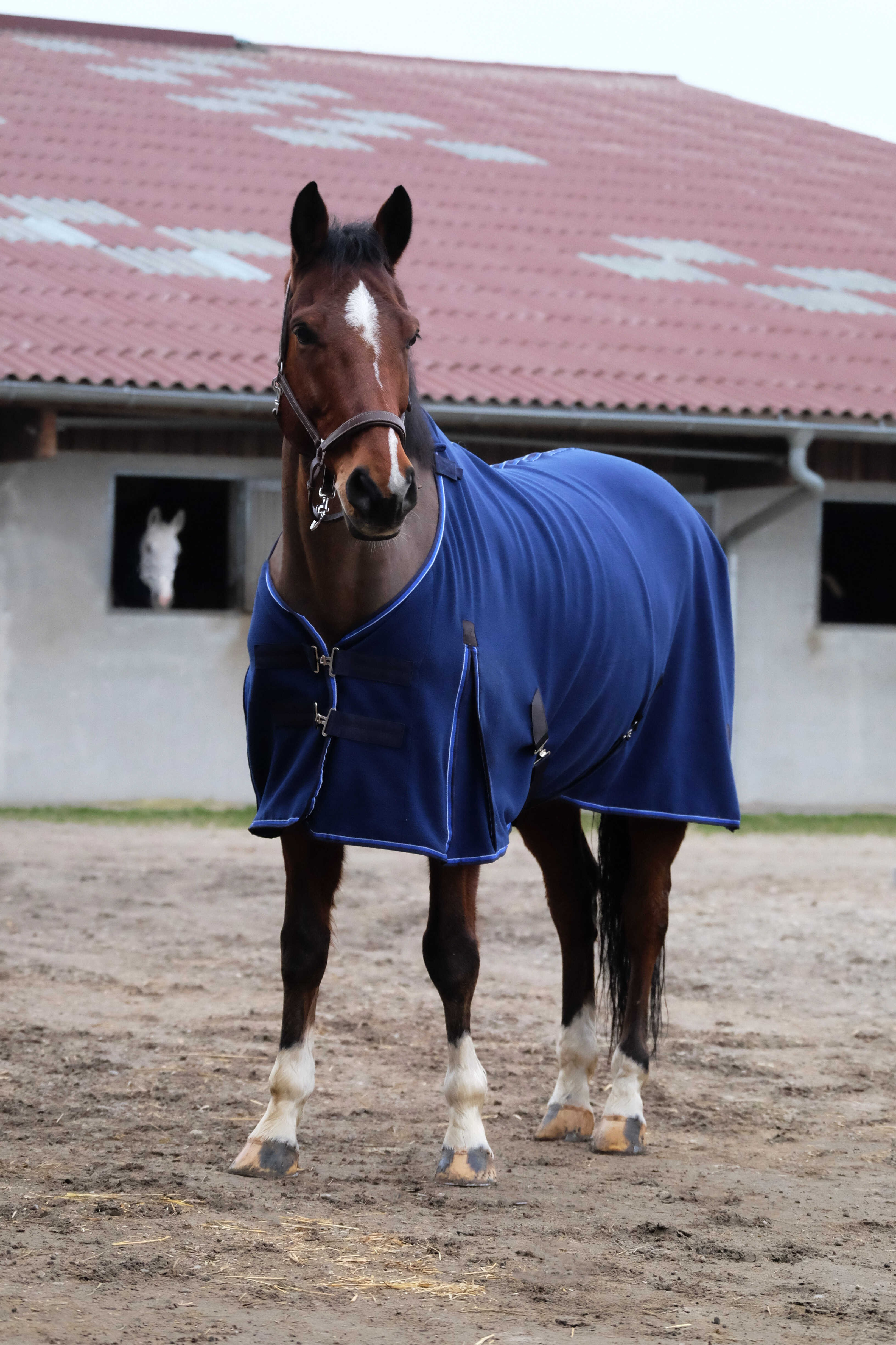 Camisa polar Equithème Classic Azul-marinho Camisa polar Equithème Classic Azul-marinho