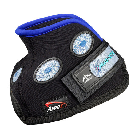 Sinos Veredus magnéticos