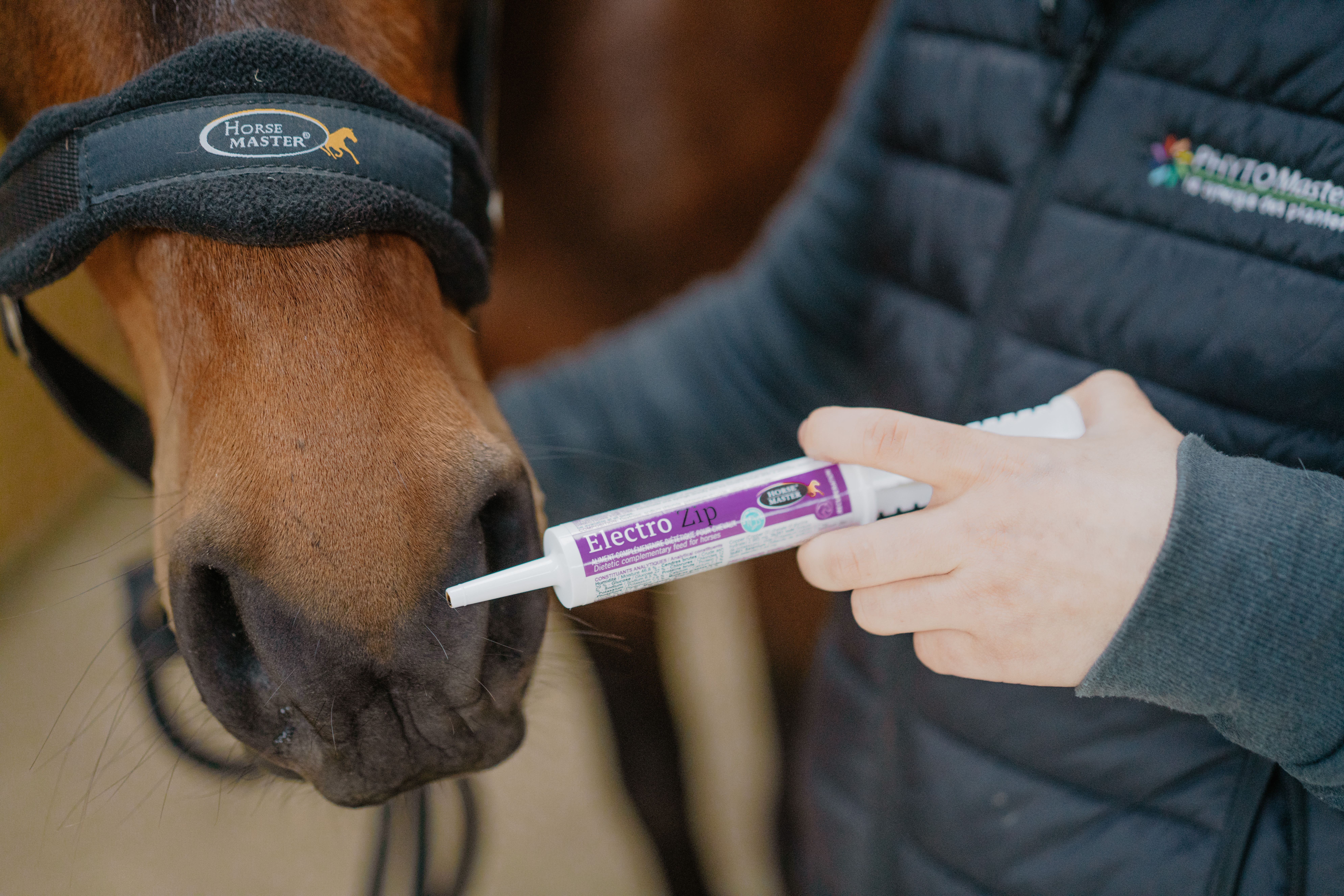 Electro Zip Horse Master