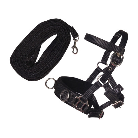 Conjunto de longe HKM Hobby Horse