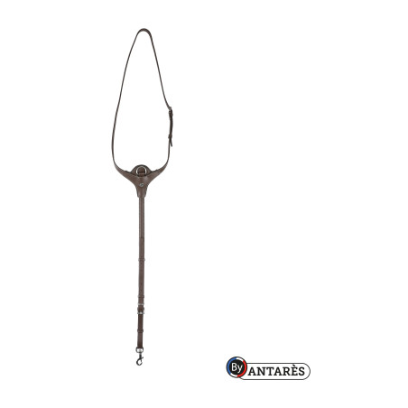 Coleira Signature by Antares Yoke