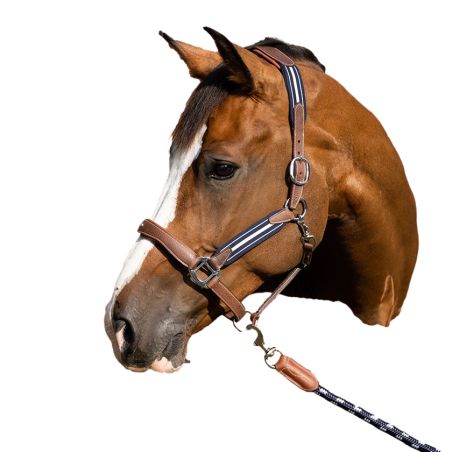 Caveção Antares stressless granulado