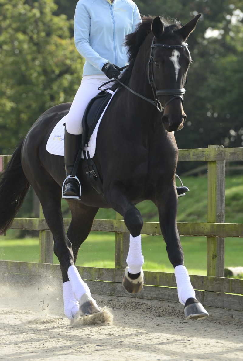 Guêtres S&F integrais Equilibrium Preto Guêtres S&F integrais Equilibrium Preto