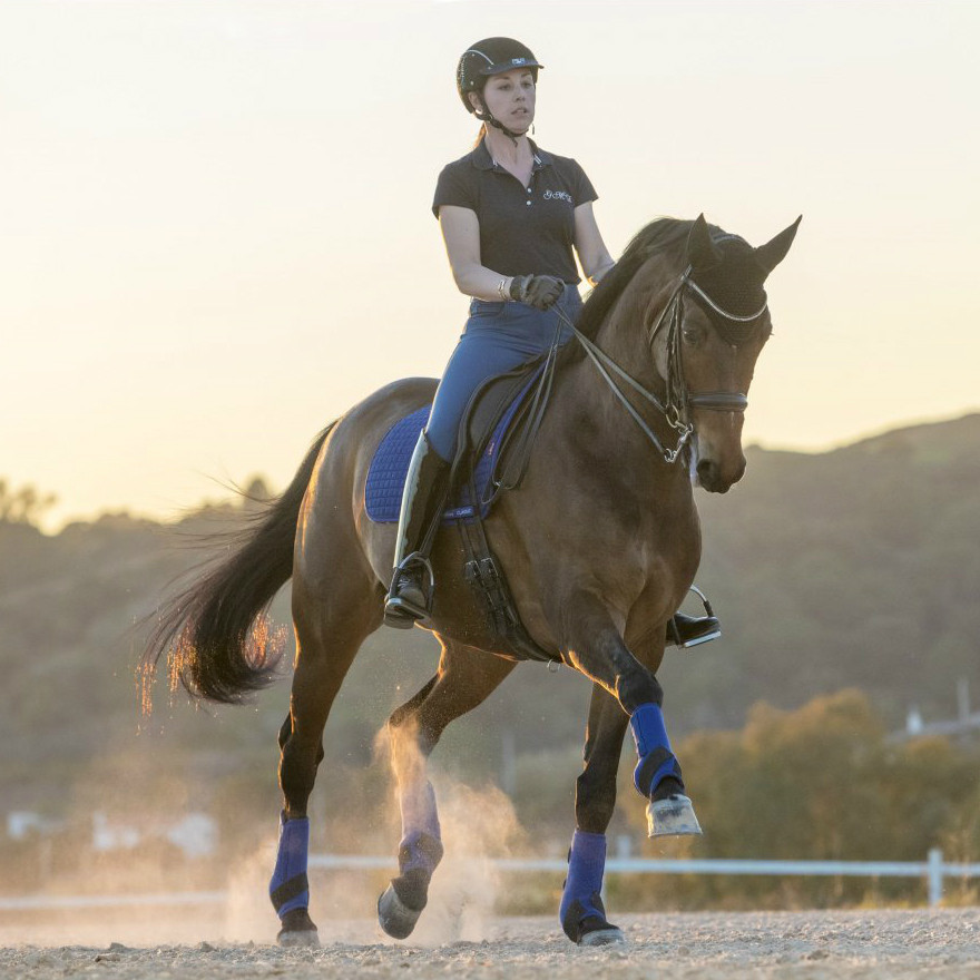 Tapete LeMieux Suede Dressage Square Azul Benetton Tapete LeMieux Suede Dressage Square Azul Benetton