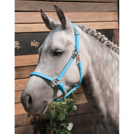 Cabezada Biotack® T de T