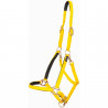Cabezada Biotack® T de T - Amarelo