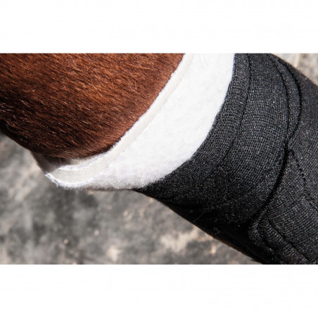 Subbandas de Espuma T de T