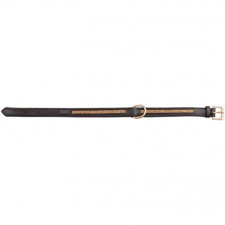 Colar Para Cão com Strass T de T