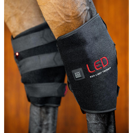 Proteção de curvilhão de terapia Horseware com luz LED vermelha
