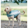 Manta polar Horseware Newmarket para cão - Dinastia Witney