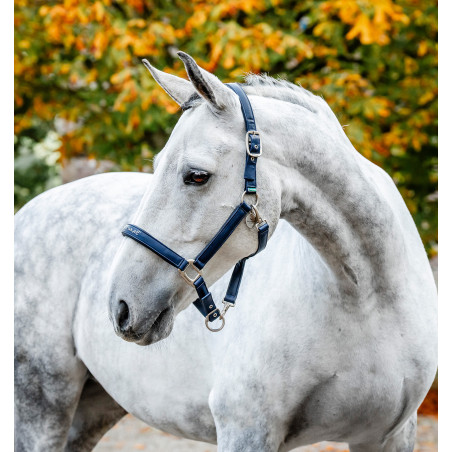 Caveção de limpeza Horseware