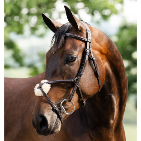 Bridle Grackle em forma de 8 Horseware muserola cruzada