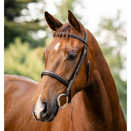 Bridão Horseware Hunter