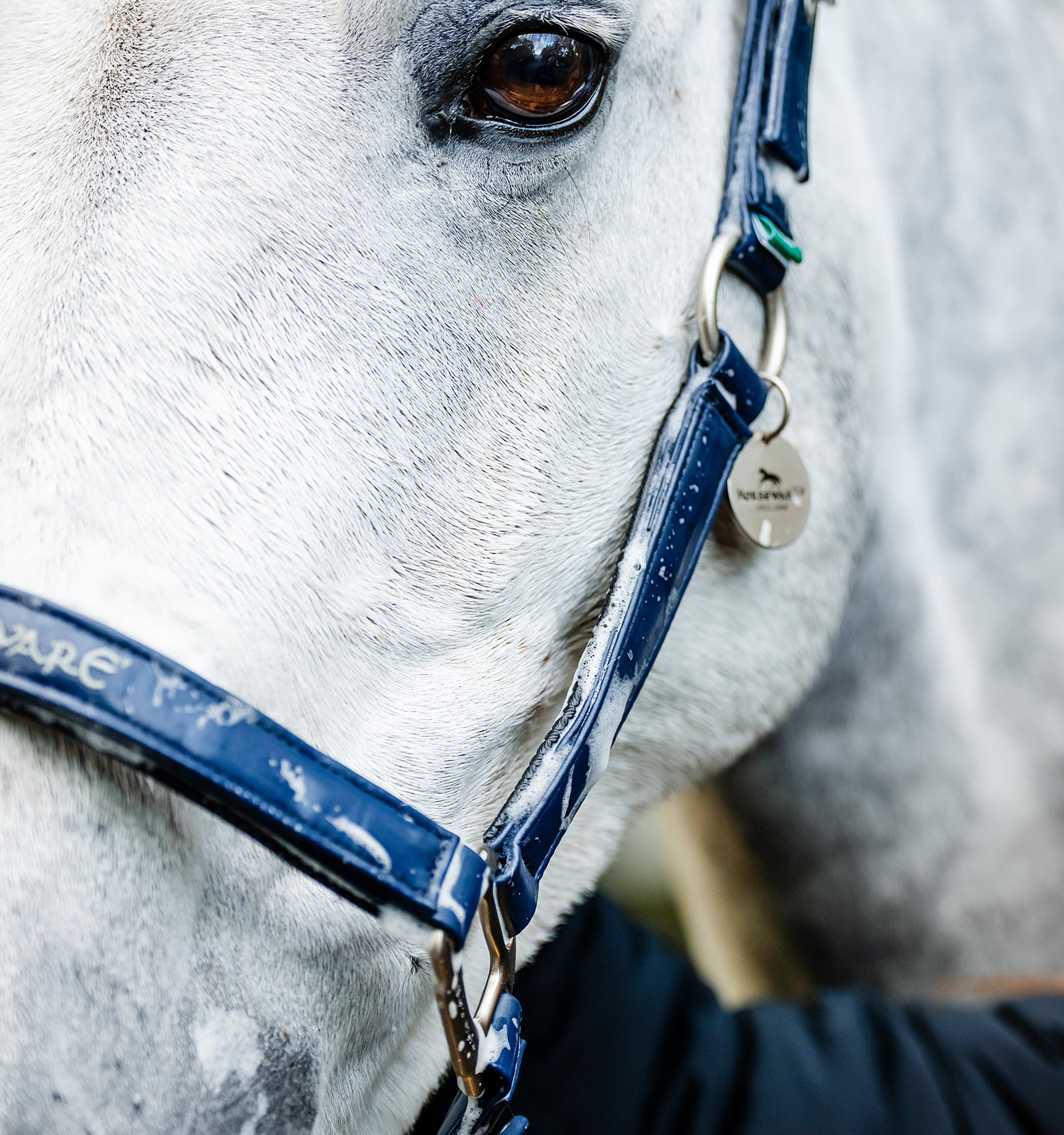 Caveção de limpeza Horseware Marinho Azul-marinho