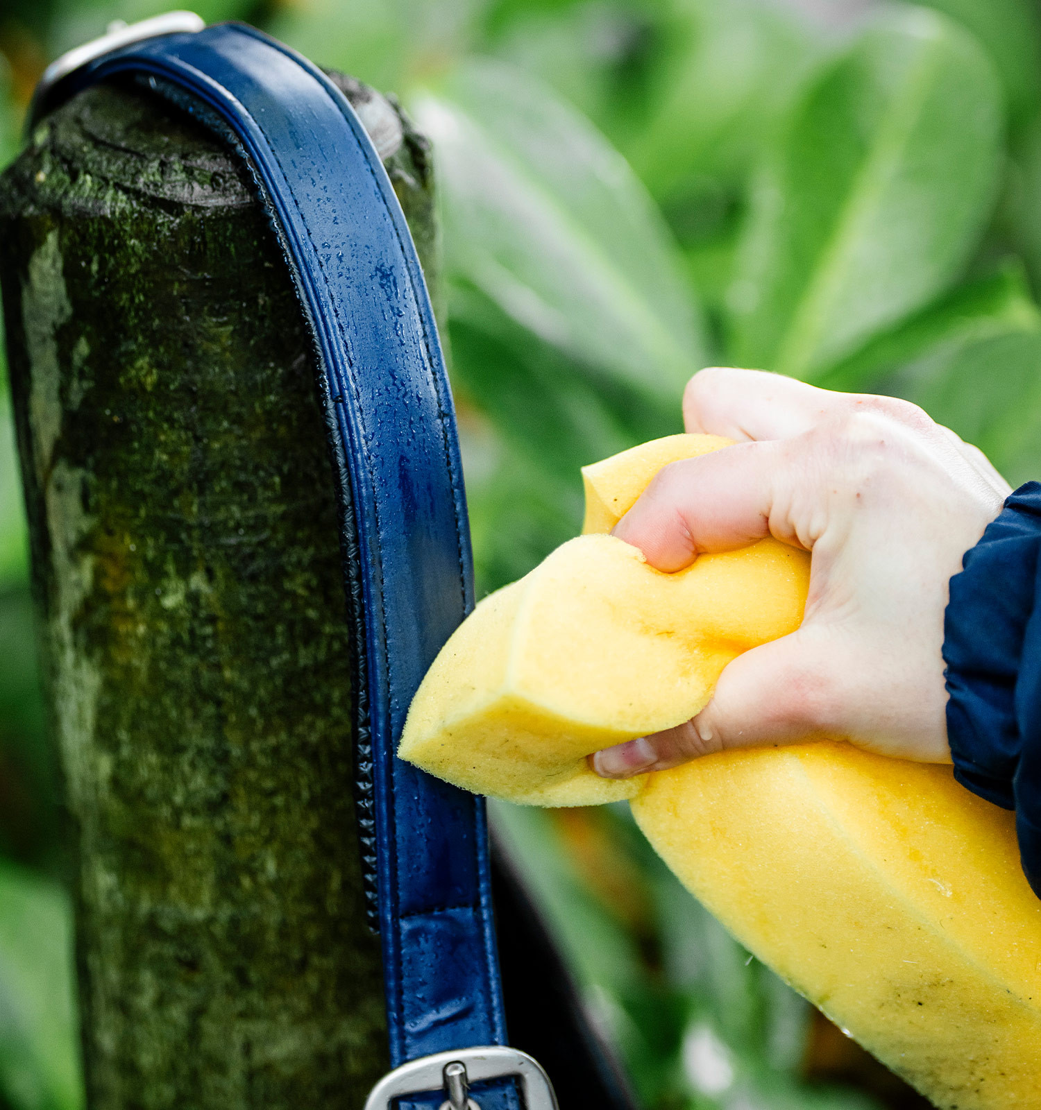 Caveção de limpeza Horseware Marinho Azul-marinho