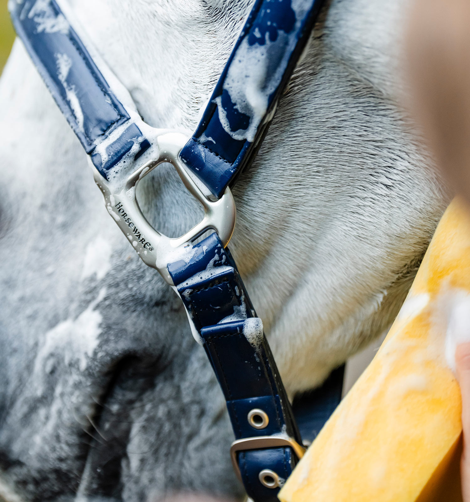 Caveção de limpeza Horseware Marinho Azul-marinho